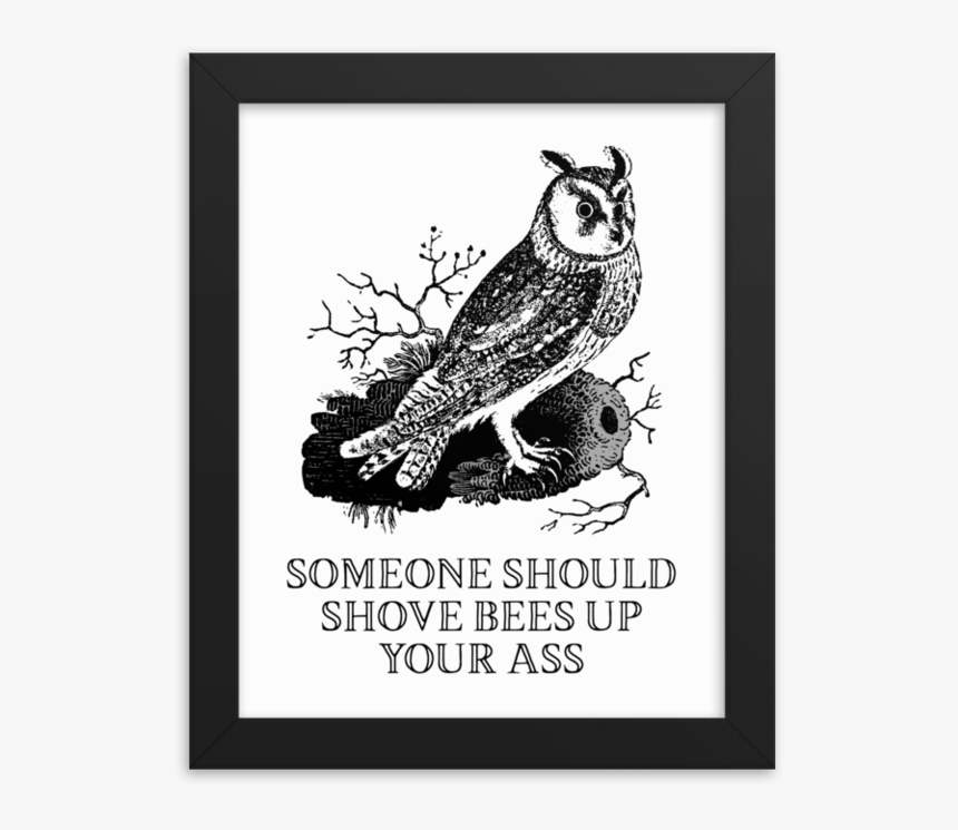 Bees Up Your Ass Framed 
 Srcset Data - American Goldfinch, HD Png Download