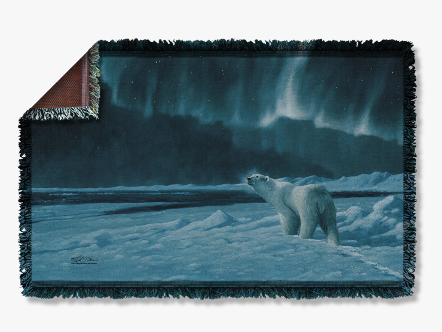 Polar Bear, HD Png Download