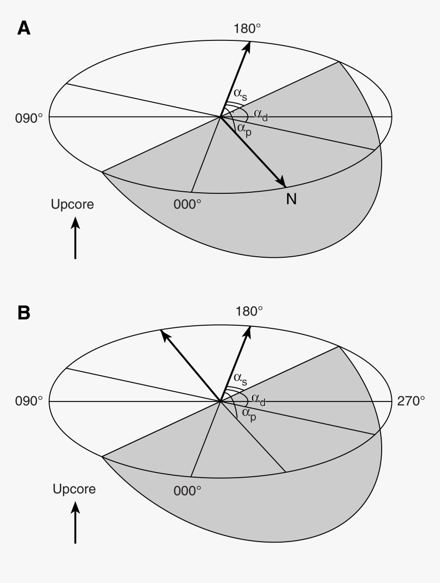 Trench Drawing Shepard - Circle, HD Png Download