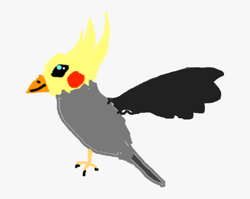 Cockatiel, HD Png Download