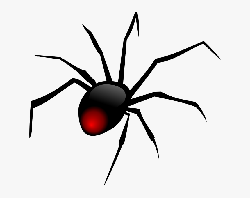 Redback Spider Clip Art, HD Png Download
