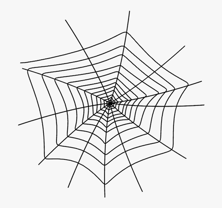 Png Spider Web, Transparent Png