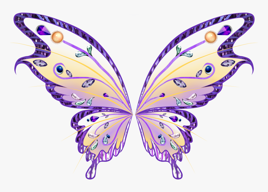 Fairy Wings Png, Transparent Png