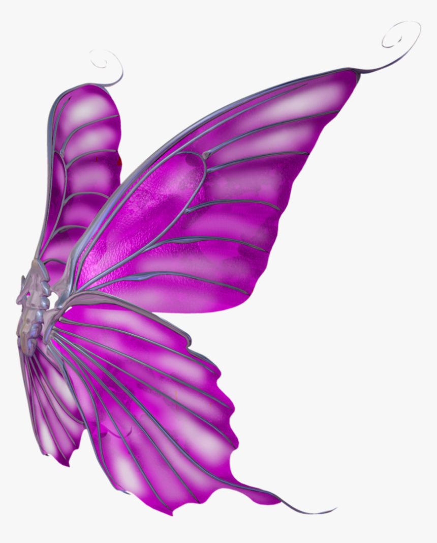 Butterfly Wings Png Clipart , Png Download, Transparent Png