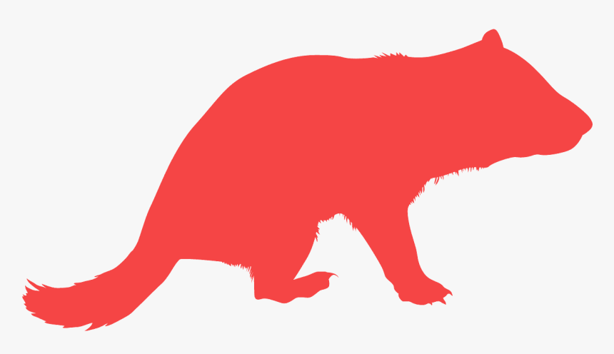 Tasmanian Devil Png, Transparent Png