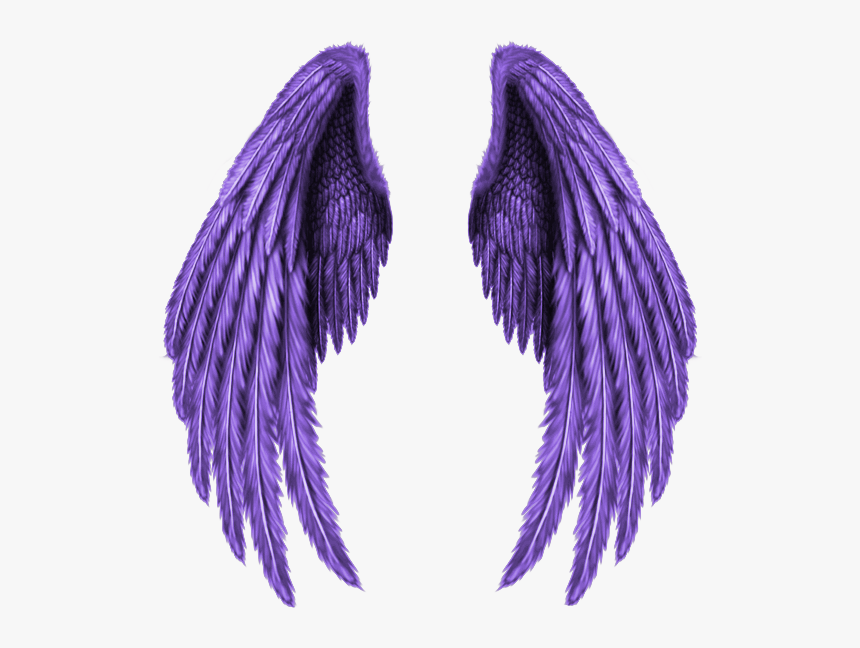 Purple Wings Png, Transparent Png