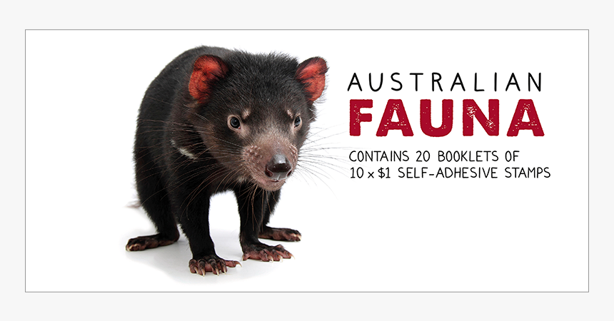 Tasmanian Devil Png, Transparent Png