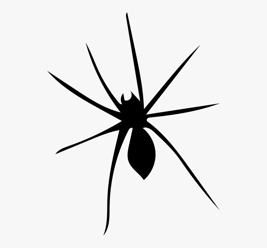 Spider, Arachnophobia, Arachnid, Nature, Scary, Fear, HD Png Download
