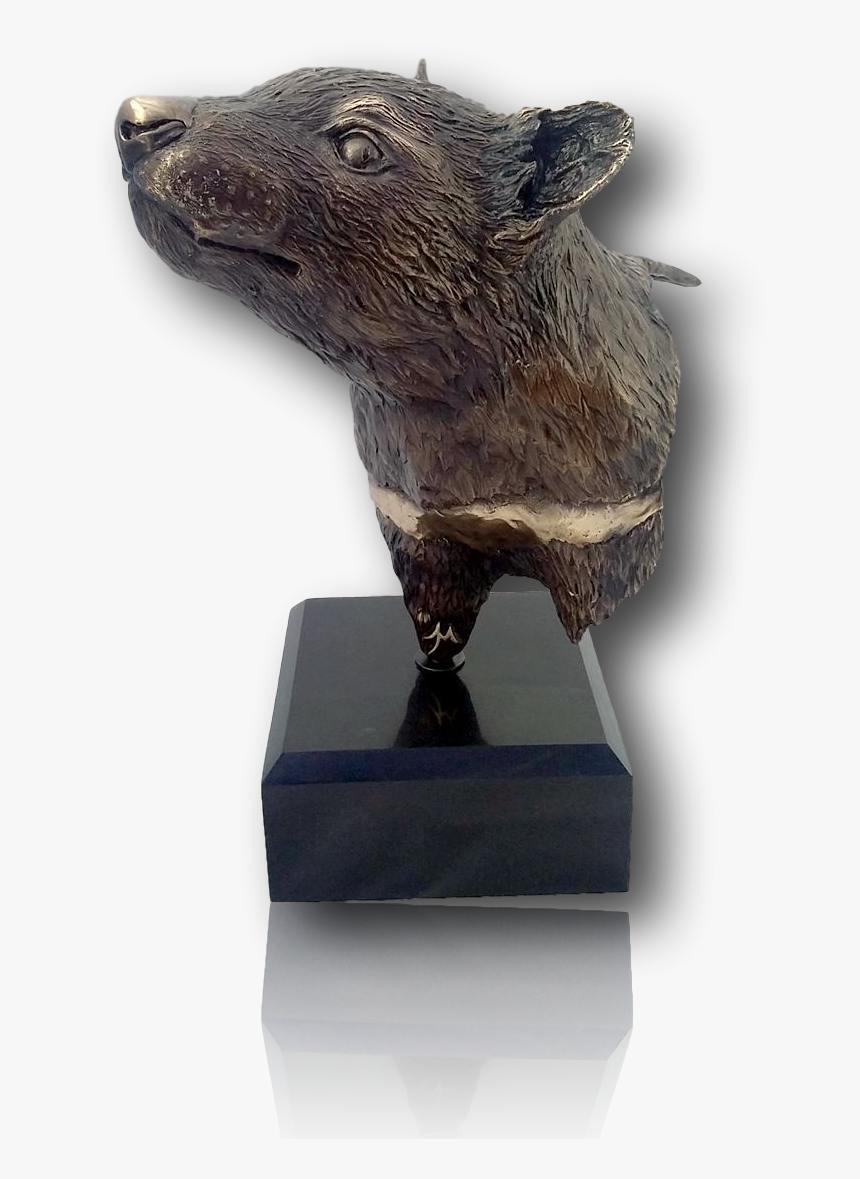 Tasmanian Devil Png, Transparent Png