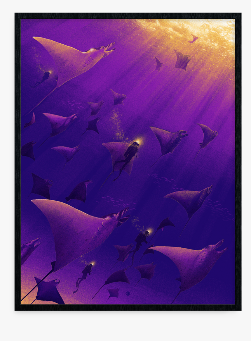 Marko Manev, Wings Under The Waves, HD Png Download