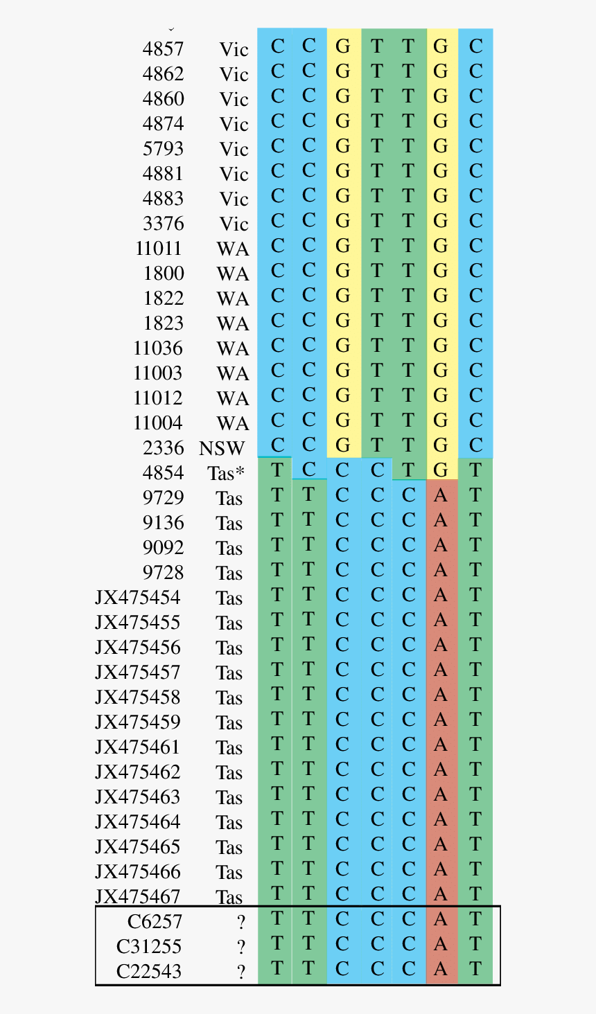 Dna Sequence Variation At Seven Mtdna Snps In 17 Mainland, HD Png Download