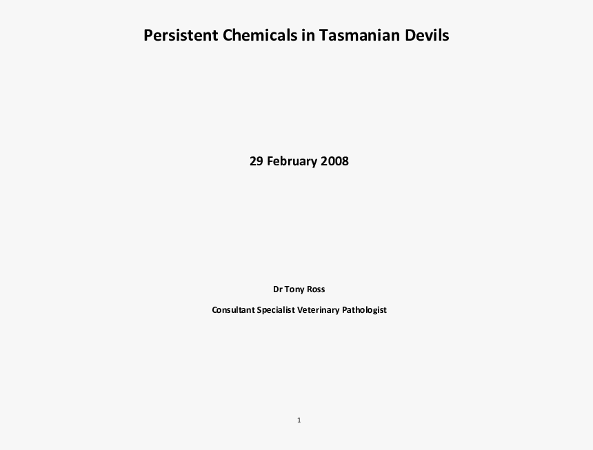 Tasmanian Devil Png, Transparent Png