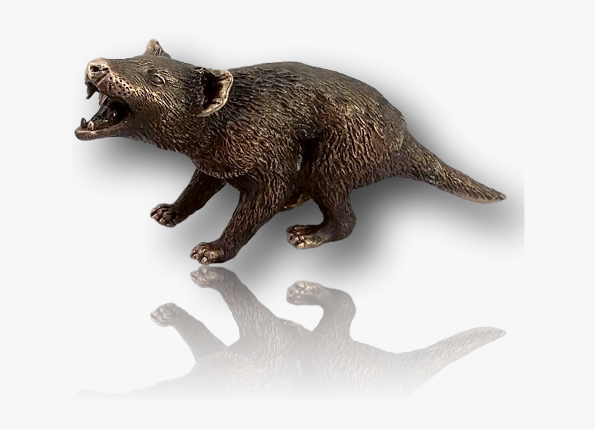 Tasmanian Devil Png, Transparent Png