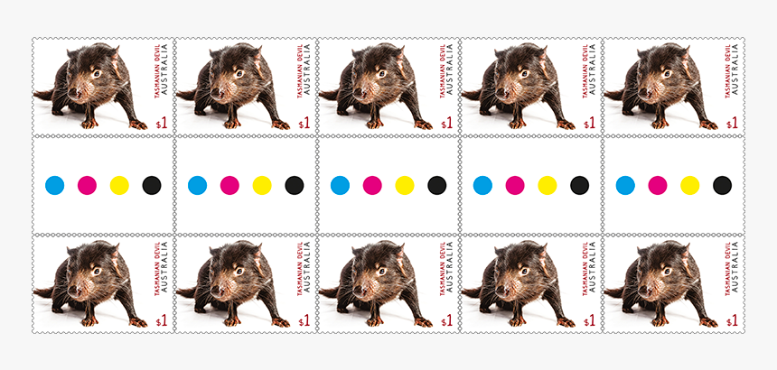 Tasmanian Devil Png, Transparent Png