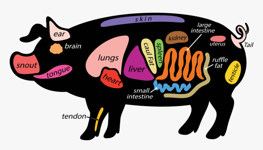 Steak Meat Product Transparent Png Clipart Free Download, Png Download