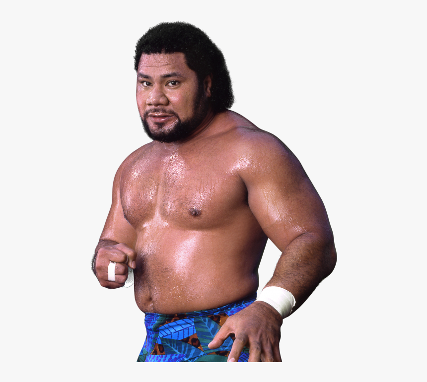 Dusty Rhodes Png, Transparent Png