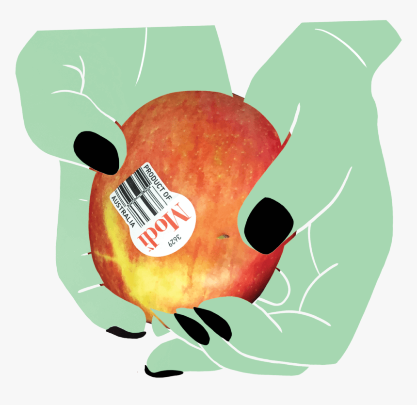 Apple In Hands, HD Png Download