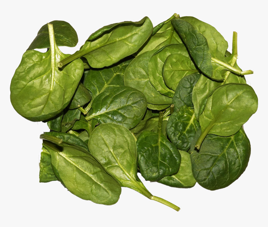 Spinach Leaves, HD Png Download