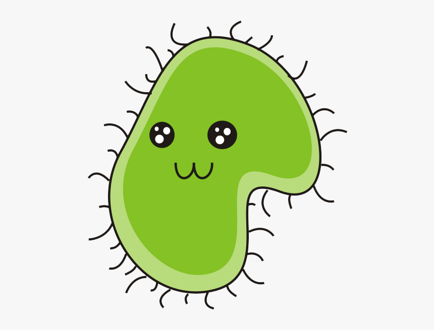 Bacteria Download Png, Transparent Png