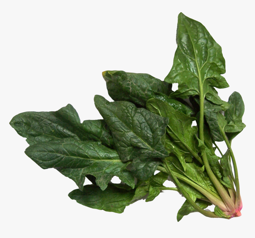 Spinach Png Image, Transparent Png