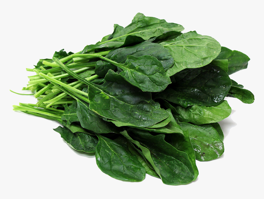 Download Spinach Png File, Transparent Png