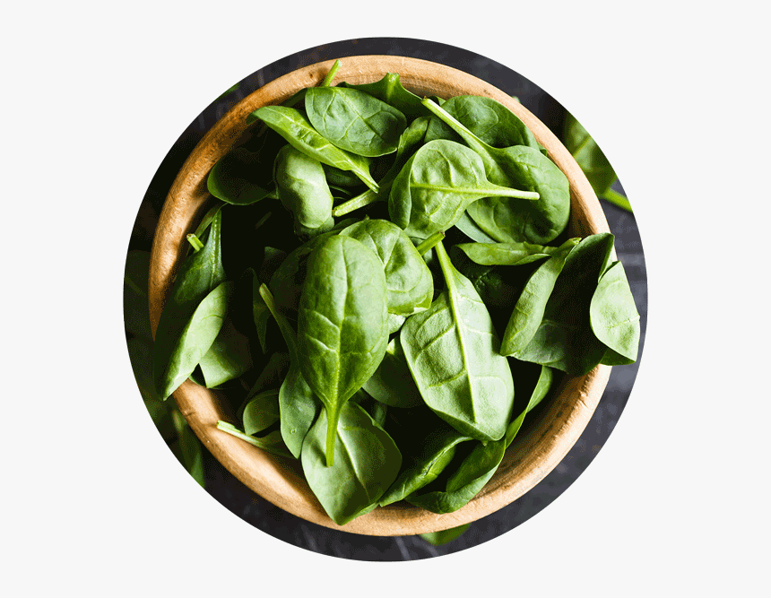 Spinach Leaf Png, Transparent Png