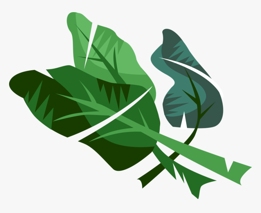 Vector Illustration Of Edible Vegetable Leaf Plant, HD Png Download