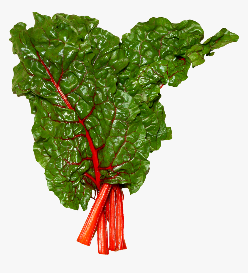 Fresh Swiss Chard Png Image, Transparent Png