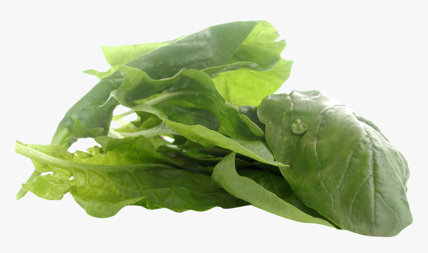 Spinach, HD Png Download