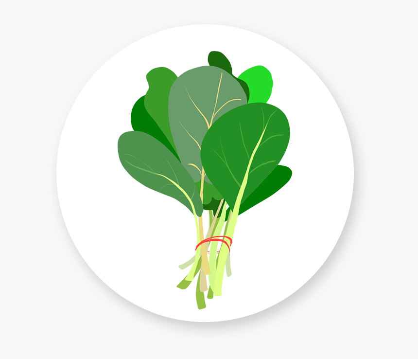 Spinach - Chard, HD Png Download