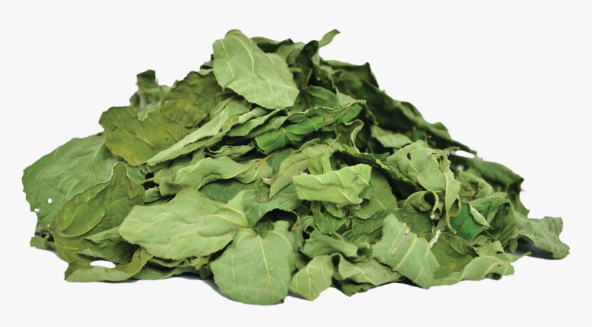 Herbs & Botanicals Ziziphus Spina Leaves, HD Png Download