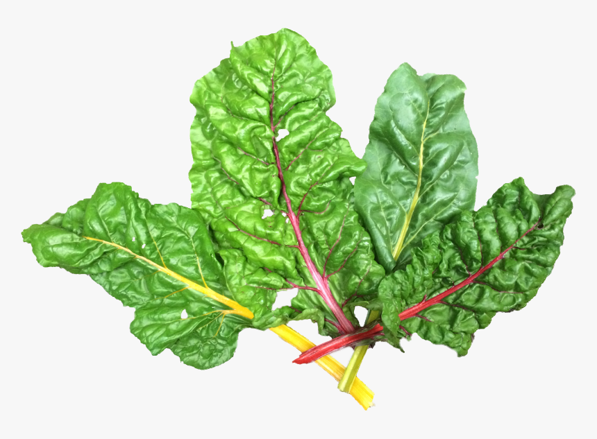 Transparent Spinach Leaf Png, Png Download