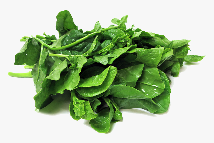 Download Spinach Transparent Png, Png Download
