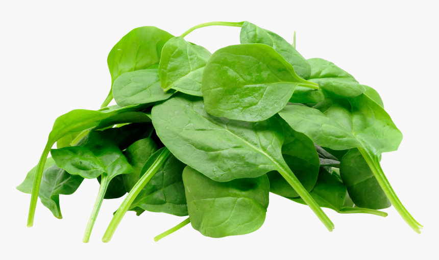 Spinach Png, Transparent Png