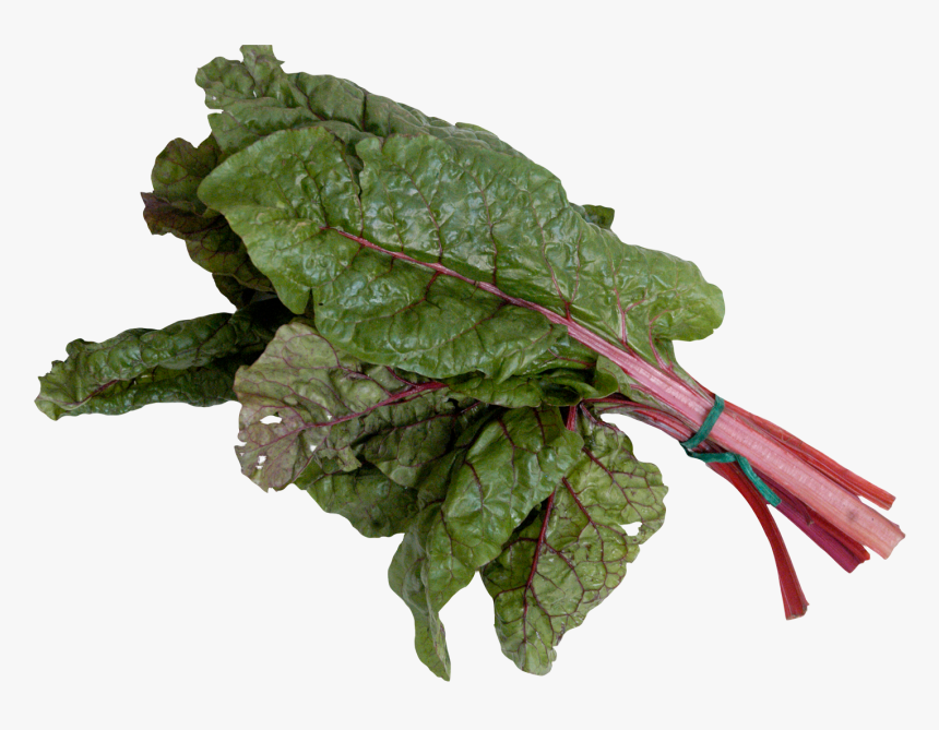 Mangold Or Swiss Chard Png Image, Transparent Png