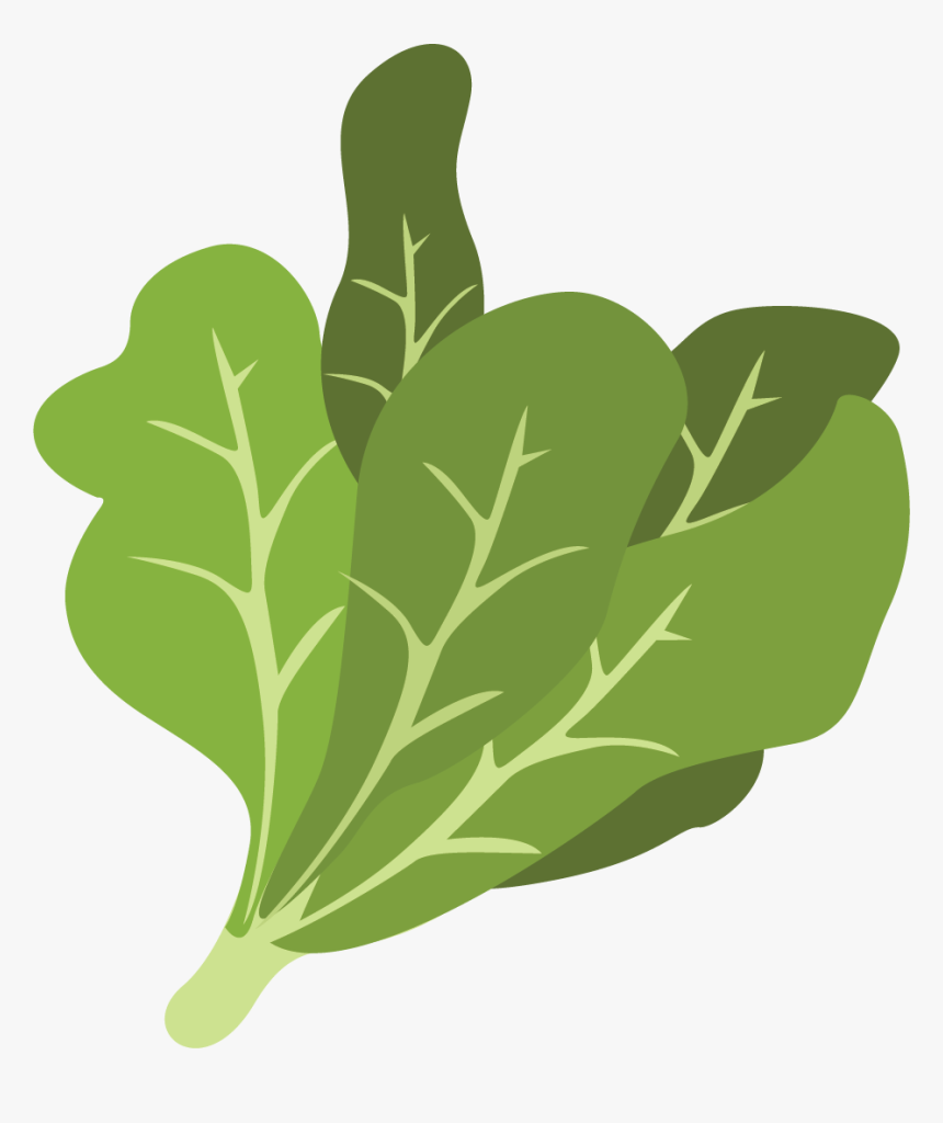 Spinach Leaf Png, Transparent Png