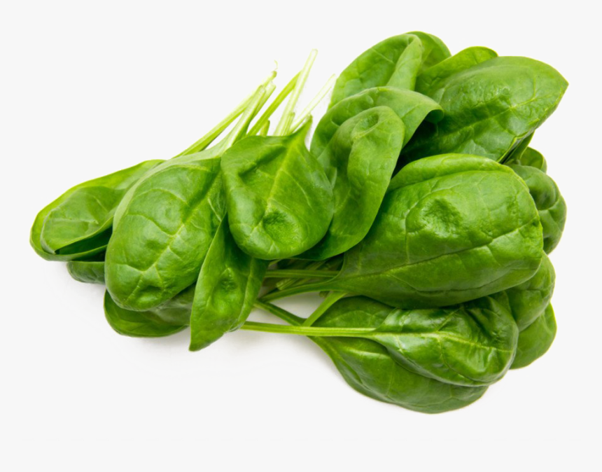 Spinach Leaf Png, Transparent Png