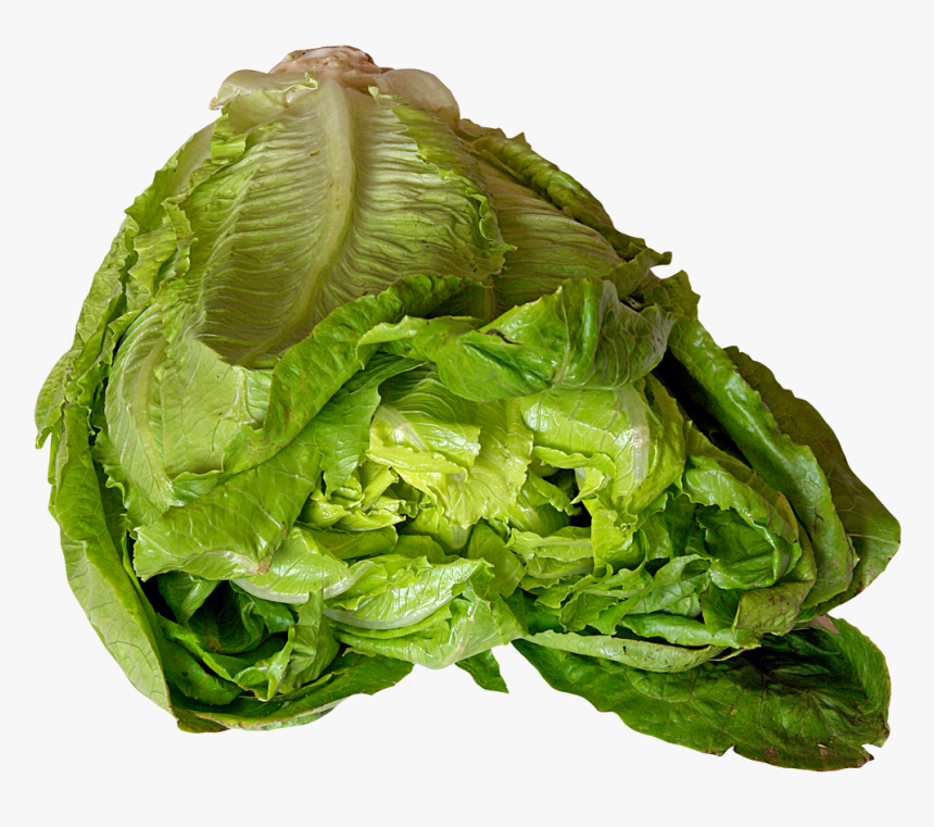 Spinach Leaf Png, Transparent Png