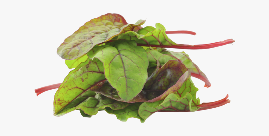 Spinach Leaf Png, Transparent Png