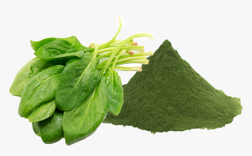 Spinach Leaf Png, Transparent Png