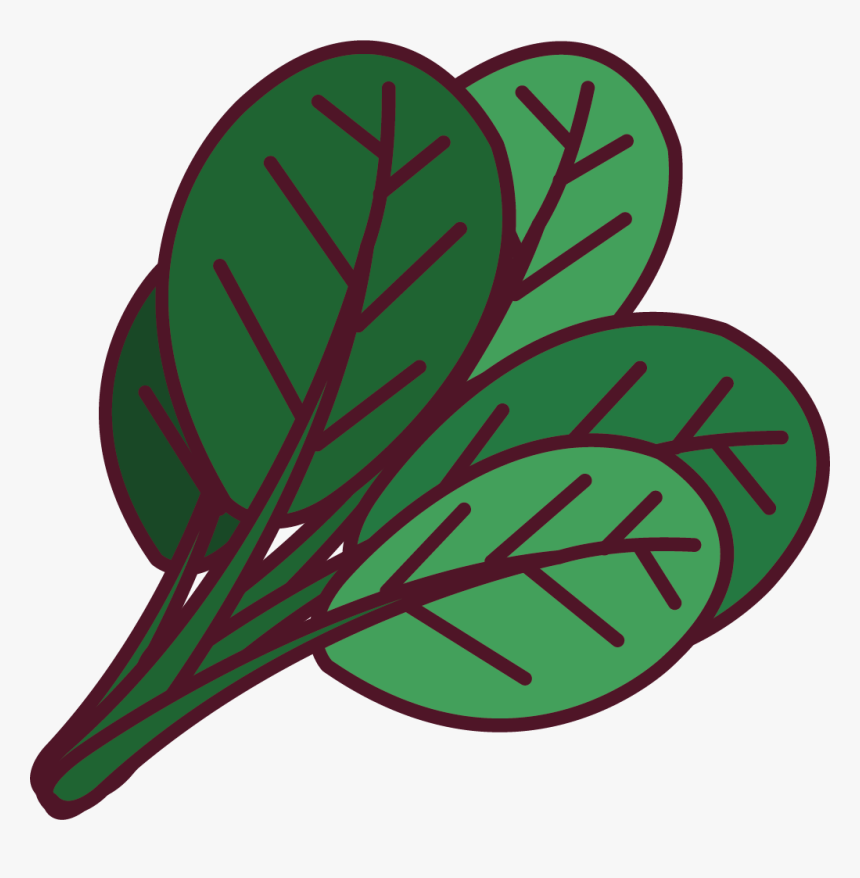 Spinach Leaf Png, Transparent Png
