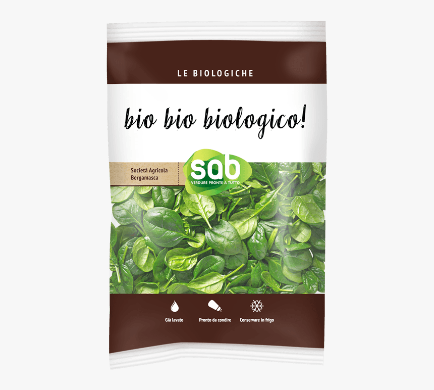 Spinach Leaf Png, Transparent Png