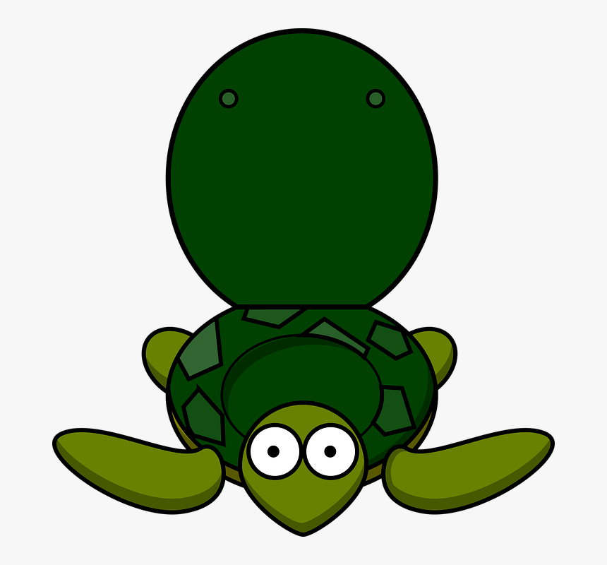 Toitle, Toilet, Turtle, Wc, HD Png Download