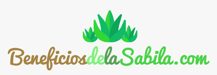 Beneficios De La Sabila, HD Png Download