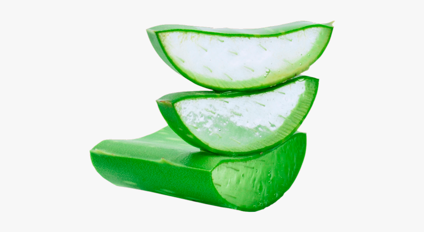 Descripcion - Aloe Vera Leaves Transparent Background, HD Png Download