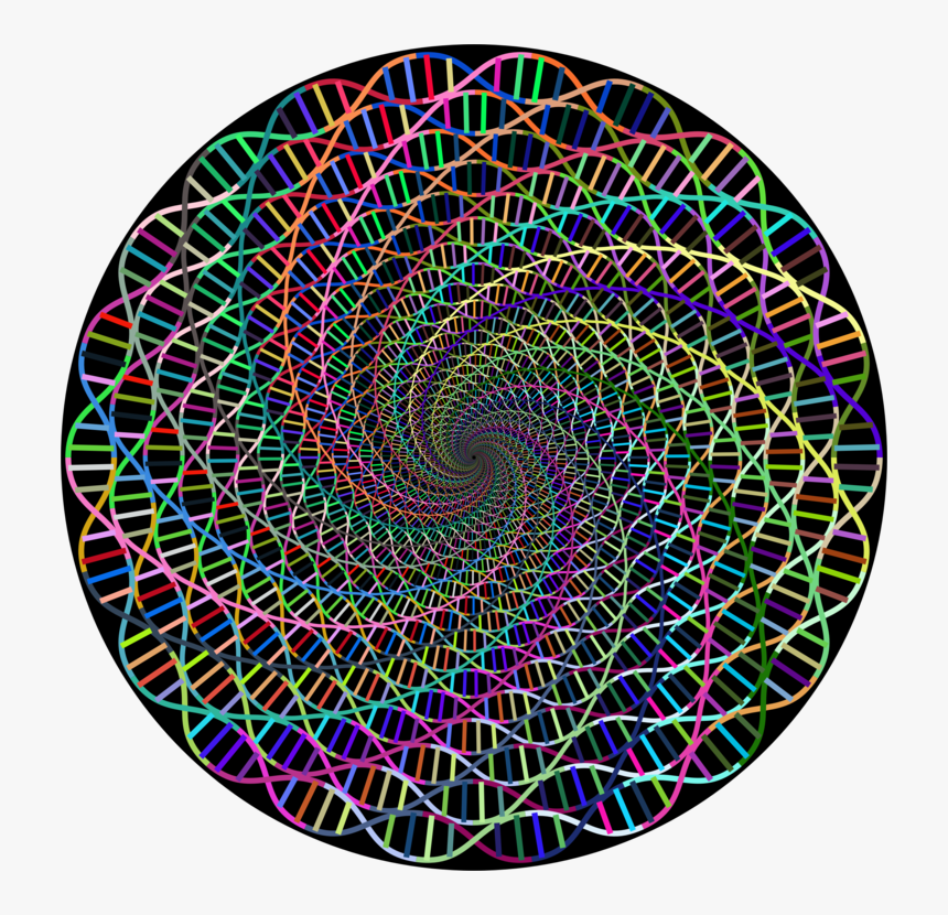 Transparent Dna Clipart Png - Transparency, Png Download