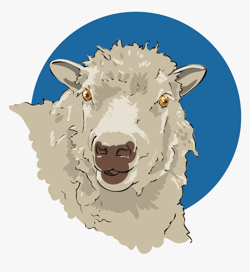 Cabeza De Borrego Png , Png Download - Imagenes De Cabeza De Borrego, Transparent Png