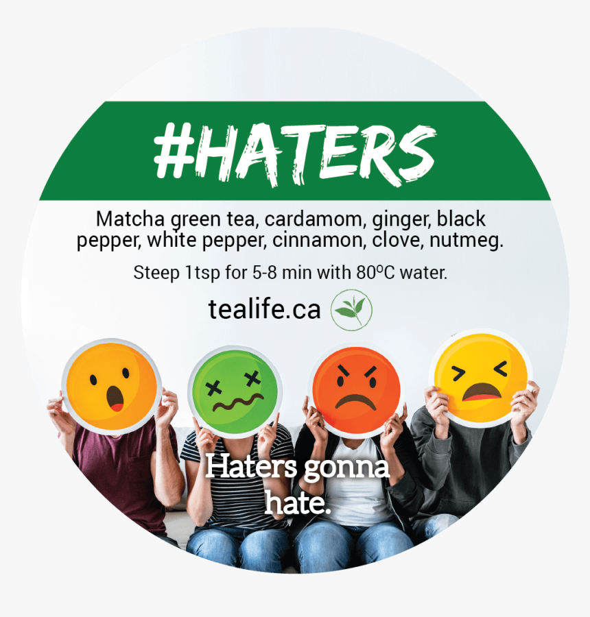 Haters - Emotions People Feel, HD Png Download