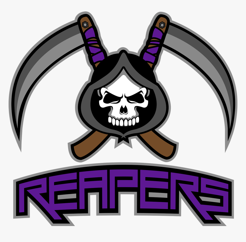 Logo Of Basketball Team, HD Png Download