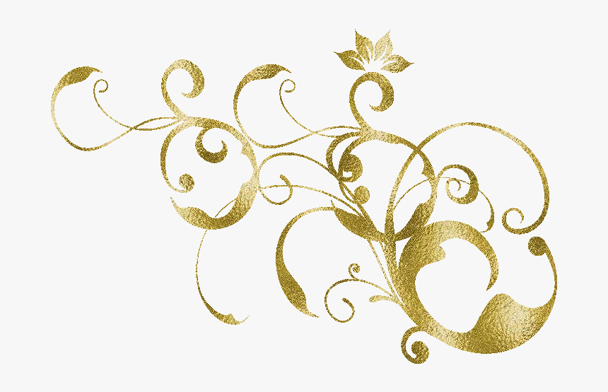 Zoom Diseño Y Fotografia - Floral Design, HD Png Download